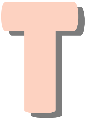 1T