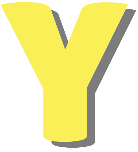 1Y
